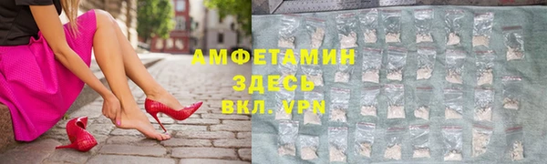 шишки Арсеньев