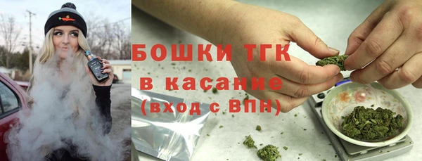 шишки Арсеньев