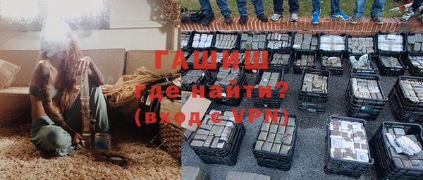 шишки Арсеньев