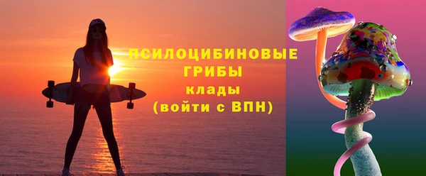 шишки Арсеньев