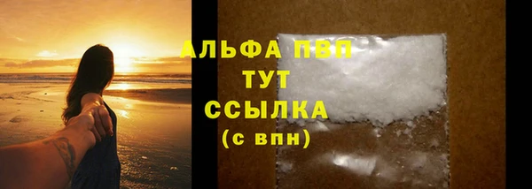 шишки Арсеньев