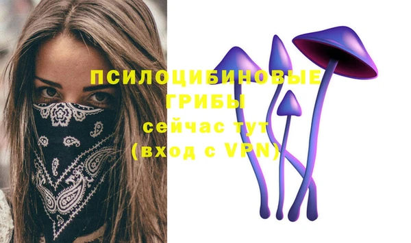 шишки Арсеньев