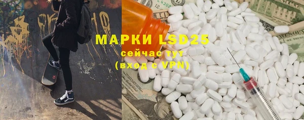 шишки Арсеньев