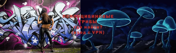 apvp Армянск