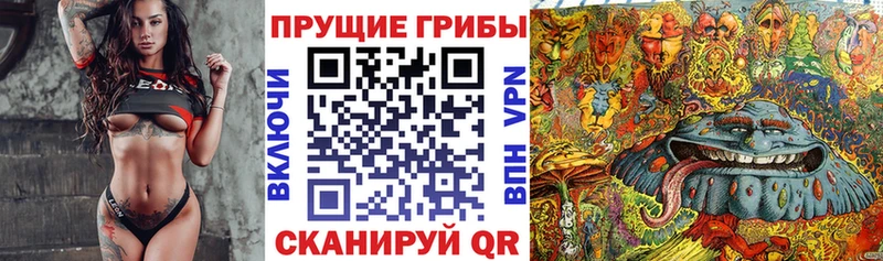 Галлюциногенные грибы ЛСД  Тутаев 